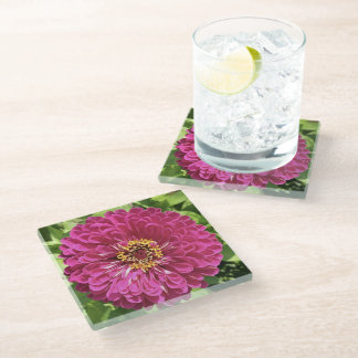 Vivid Zinnia Flower Photo Glass Coaster