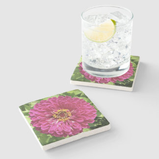 Vivid Zinnia Flower Photo Stone Coaster