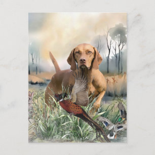 Vizsla , Art Postcard