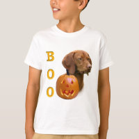 Vizsla Boo