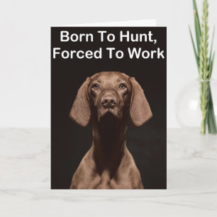 Vizsla Born To Work Card