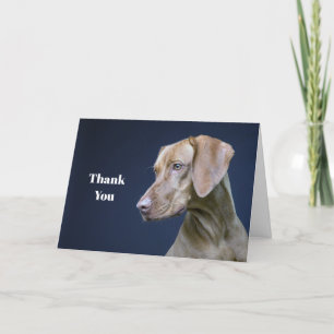 Vizsla Brown Dog Photo Thank You Card