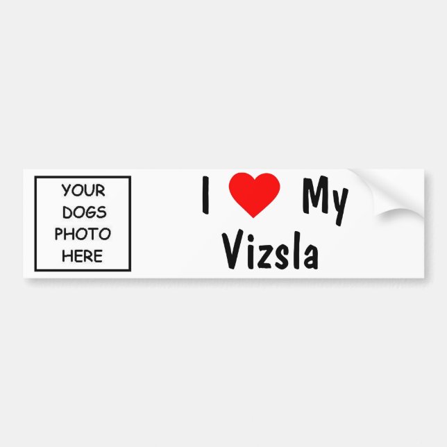 Vizsla Bumper Sticker (Front)