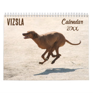 Vizsla calendar 2025