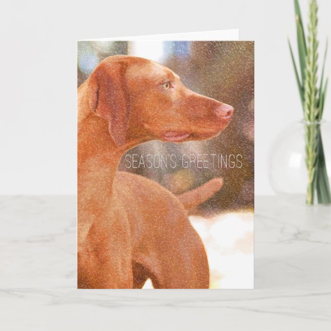 Vizsla Christmas Greeting Cards (Front)