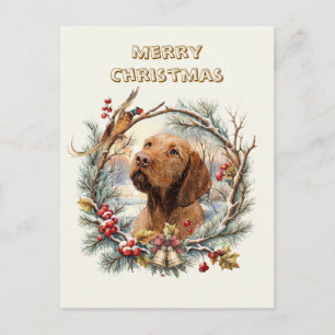 Vizsla Christmas  Holiday Postcard