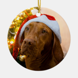 Vizsla Christmas Ornament (Dolly)