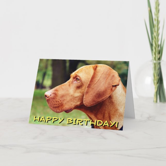 Vizsla dog birthday card (Front)