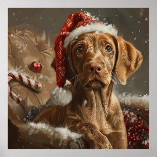 Vizsla Dog Christmas Festive  Poster