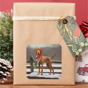 Vizsla Dog in Snow Christmas Square Sticker