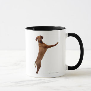 Vizsla Dog Mug
