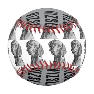 Vizsla Drawing Baseball