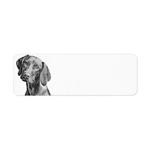 Vizsla Drawing Return Address Label