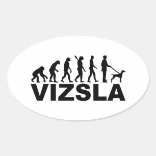 Vizsla Evolution Oval Sticker