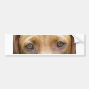 vizsla eyes.png bumper sticker