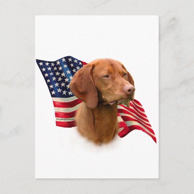 Vizsla Flag Postcard (Front)