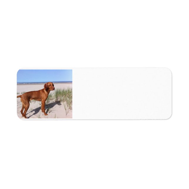 vizsla-full return address label (Front)