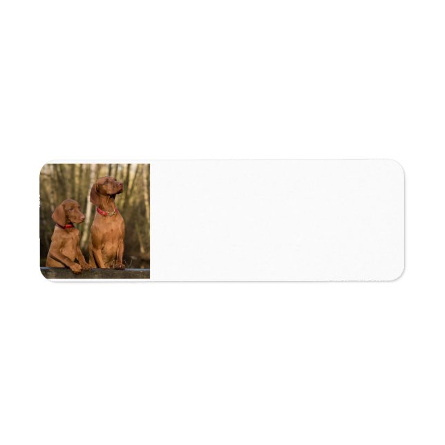 vizsla group return address label (Front)