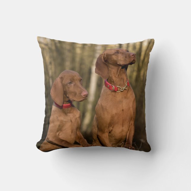 Vizsla Hound Dogs - Hunting Hounds - Cushion (Front)