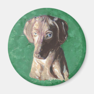Vizsla, Hungarian Pointer Magnet