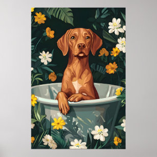 Vizsla In Bathtub Poster, Funny Dog Poster, Vizsla Poster