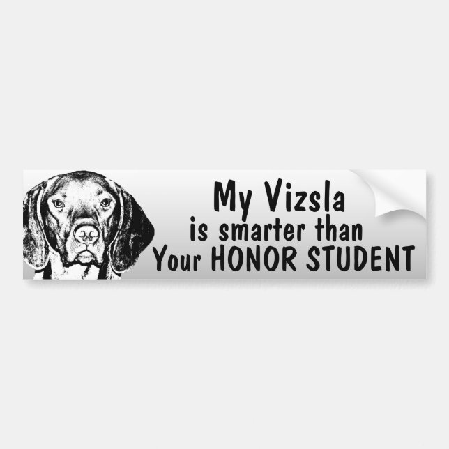 Vizsla is smarter than honour student - funny bumper sticker (Front)