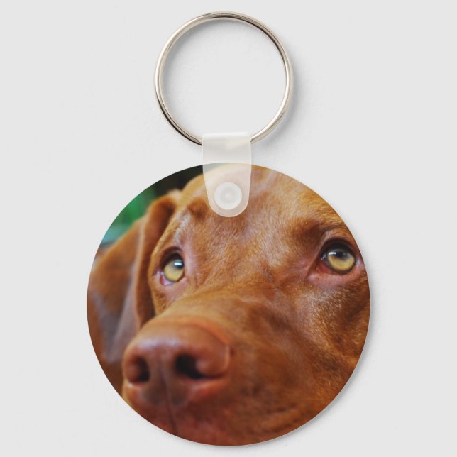 VIZSLA - key chain (Front)