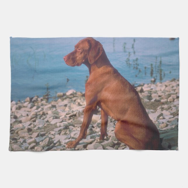 Vizsla Kitchen Towel (Horizontal)