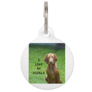 vizsla love w pic pet tag