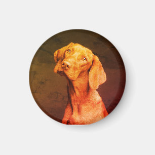 Vizsla Magnet
