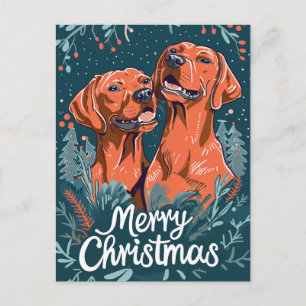 Vizsla Merry Christmas  Postcard