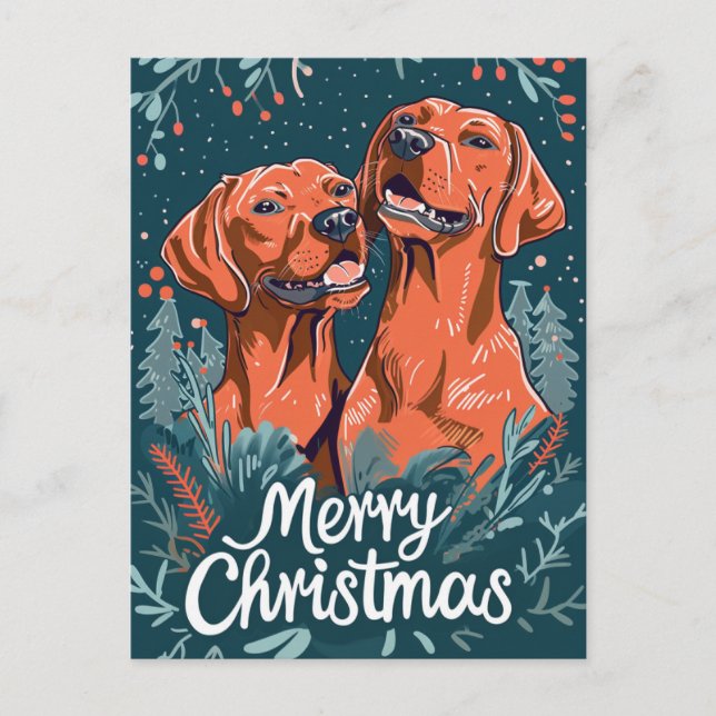 Vizsla Merry Christmas  Postcard (Front)