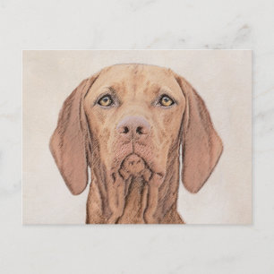 Vizsla Painting - Cute Original Dog Art Postcard