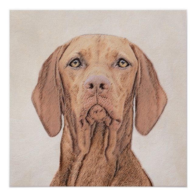 Vizsla Painting - Cute Original Dog Art Poster (Front)