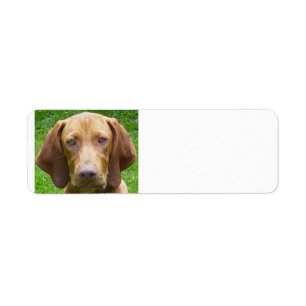 vizsla.png return address label