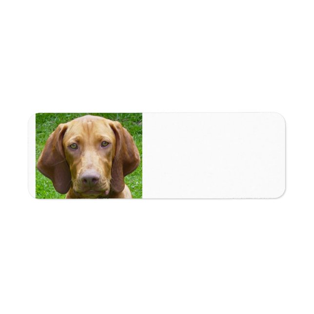 vizsla.png return address label (Front)