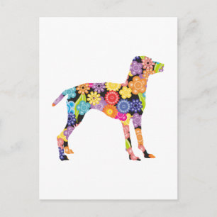 Vizsla Postcard