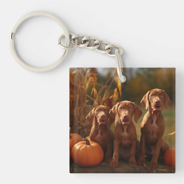 Vizsla Puppy Autumn Delight Pumpkin Key Ring (Front)