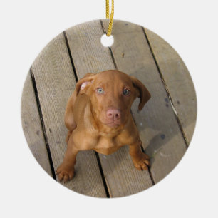 vizsla puppy ceramic tree decoration