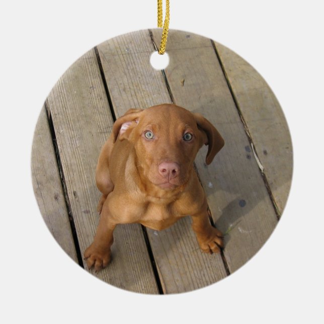 vizsla puppy ceramic tree decoration (Front)