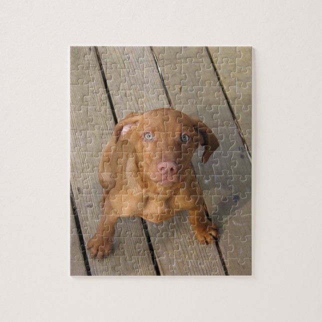 vizsla puppy jigsaw puzzle (Vertical)