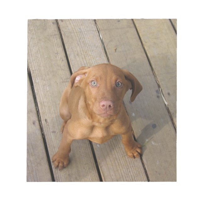 vizsla puppy notepad (Front)