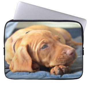 Vizsla Puppy Resting On Its Paw Laptop Sleeve