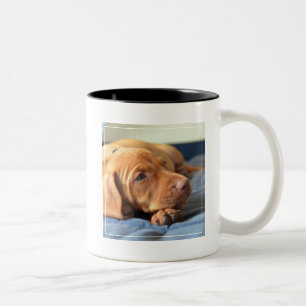 Vizsla Puppy Resting On Its Paw Two-Tone Coffee Mug