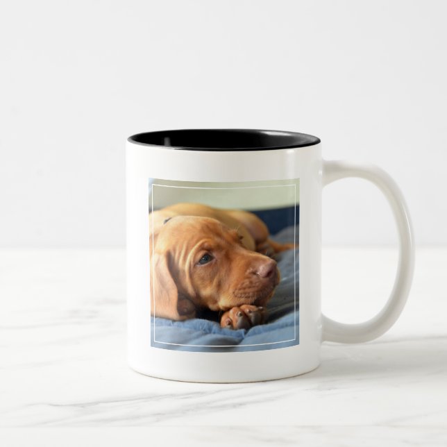Vizsla Puppy Resting On Its Paw Two-Tone Coffee Mug (Right)