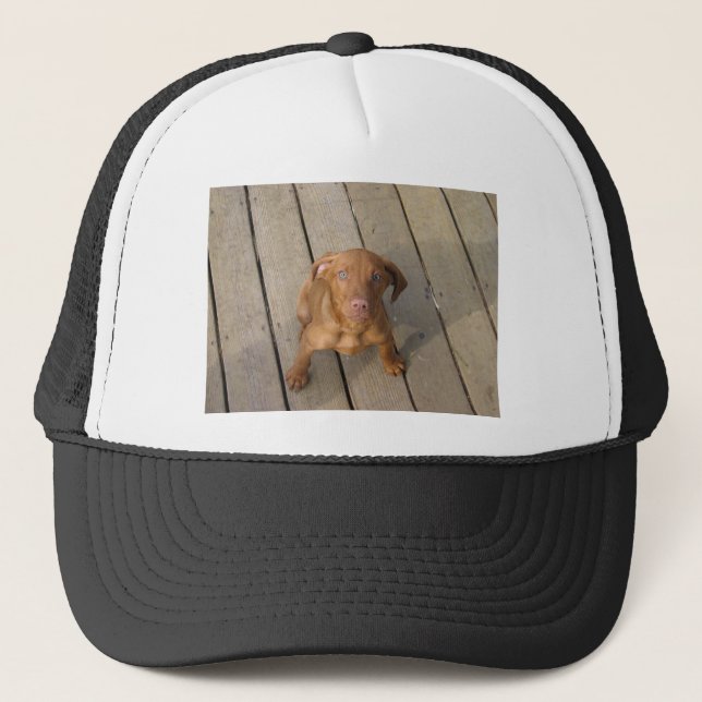 vizsla puppy trucker hat (Front)