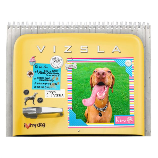 VIZSLA Retro Refrigerator Calendar (Cover)