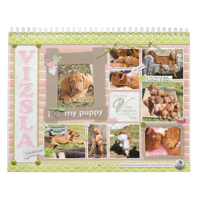 Vizsla Scrapbook Calendar (Cover)