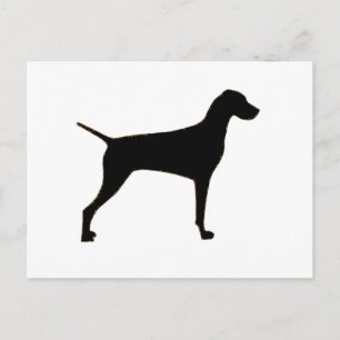 Vizsla silhouette postcard
