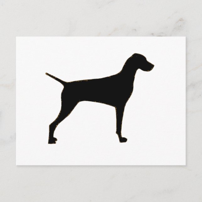 Vizsla silhouette postcard (Front)